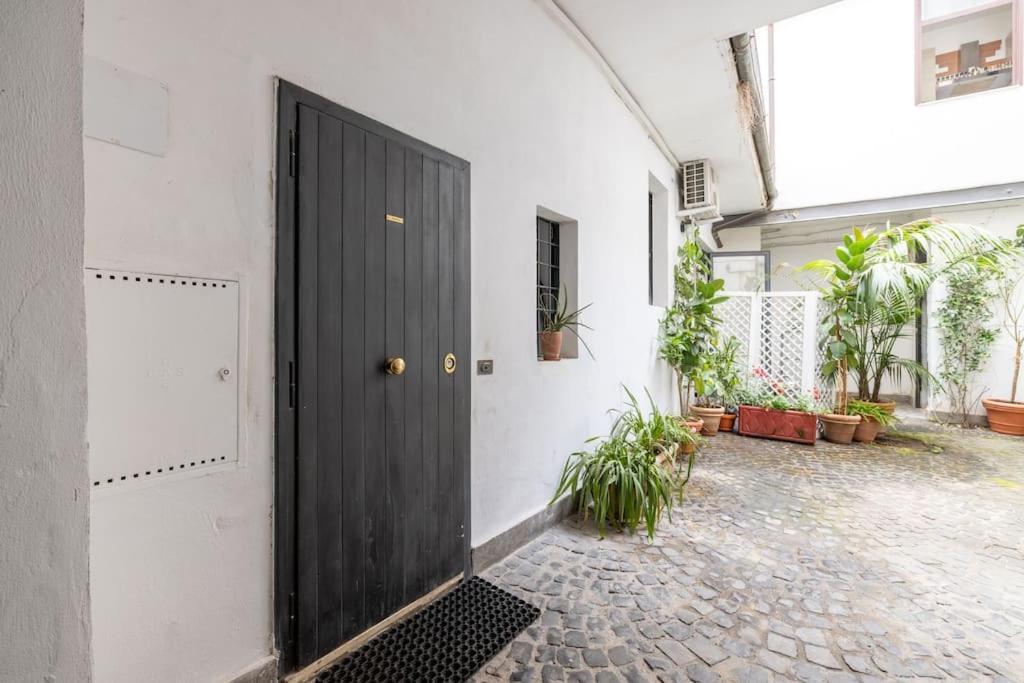 Colosseum Charming Apartment Rzym Zewnętrze zdjęcie